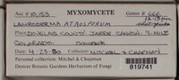 Image Associated With the Occurence